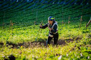 BIB: 
                            <button type="button" onclick="openModal(19160222)" class="btn btn-primary btn-sm float-right btn-popup" data-toggle="modal" data-target=".modal-high-quality">
                        <i class="fas fa-shopping-cart"></i> Add to Cart
                    </button>
                                            <button type="button" onclick="isThisMe(19160222, true)" class="btn btn-success btn-sm float-right btn-popup btn-isme hidden" data-toggle="tooltip" data-placement="bottom" title="นี่คือรูปของคุณใช่ไหม คลิกที่นี่เพื่อเอาเข้าอัลบั้ม">
                        <i class="fas fa-plus"></i> Add to album
                    </button>
                    <button type="button" onclick="isThisMe(19160222, false)" class="btn btn-warning btn-sm float-right btn-popup btn-isnotme hidden">
                        <i class="fas fa-ban"></i> Remove from album
                    </button>